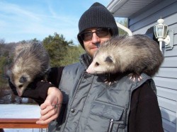 DEW with Puja and Prajna, our totem animals: Opossums!