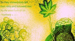 Our plant guru