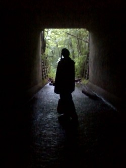 DEW in a tunnel at AUM Gyre Grove