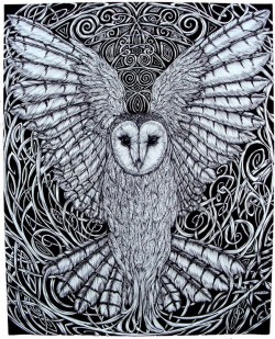Arianrhod's Owl