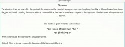 Mahavidya Tara Mantra