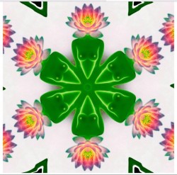 Kore mandala by DEW
